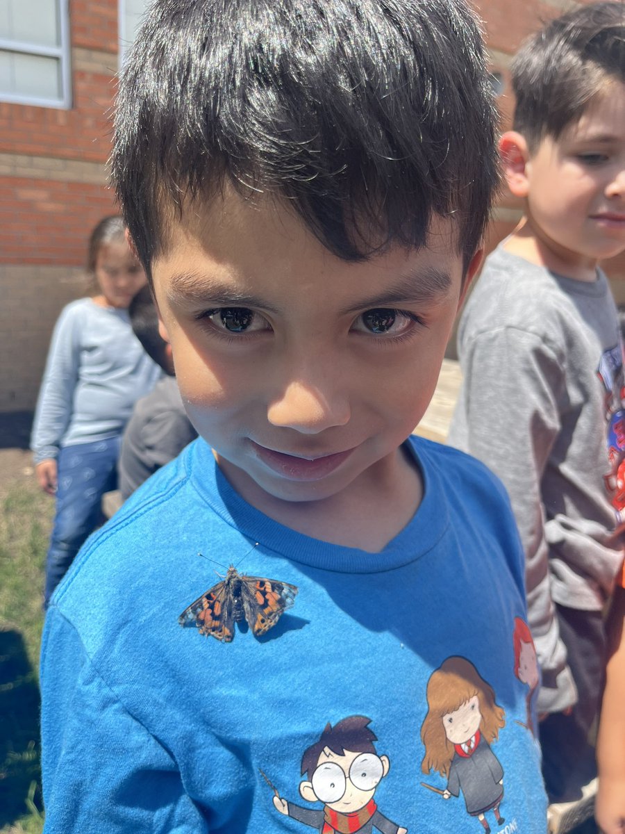 Maricela Velez tweet media