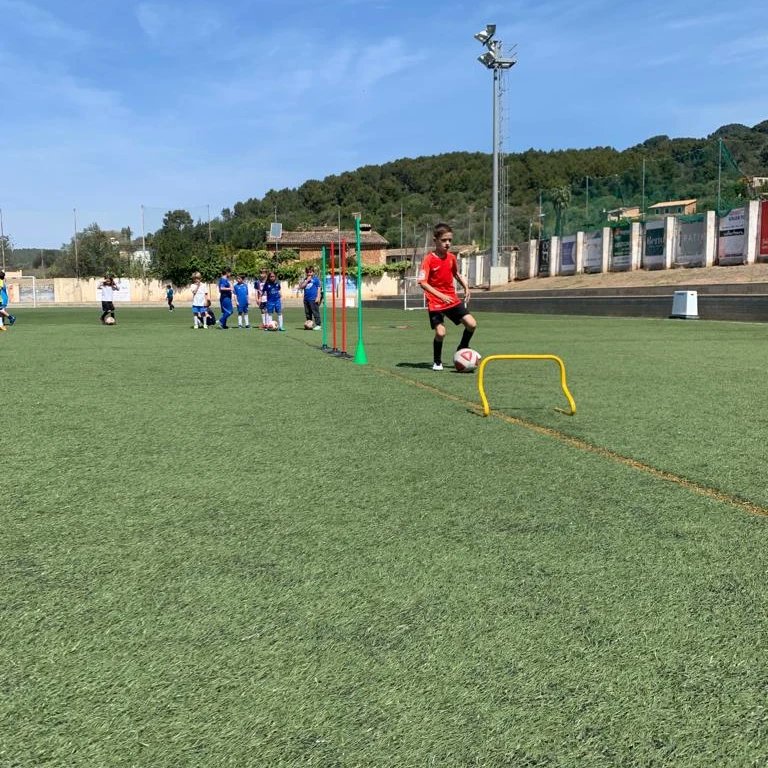 CF Sóller tweet media