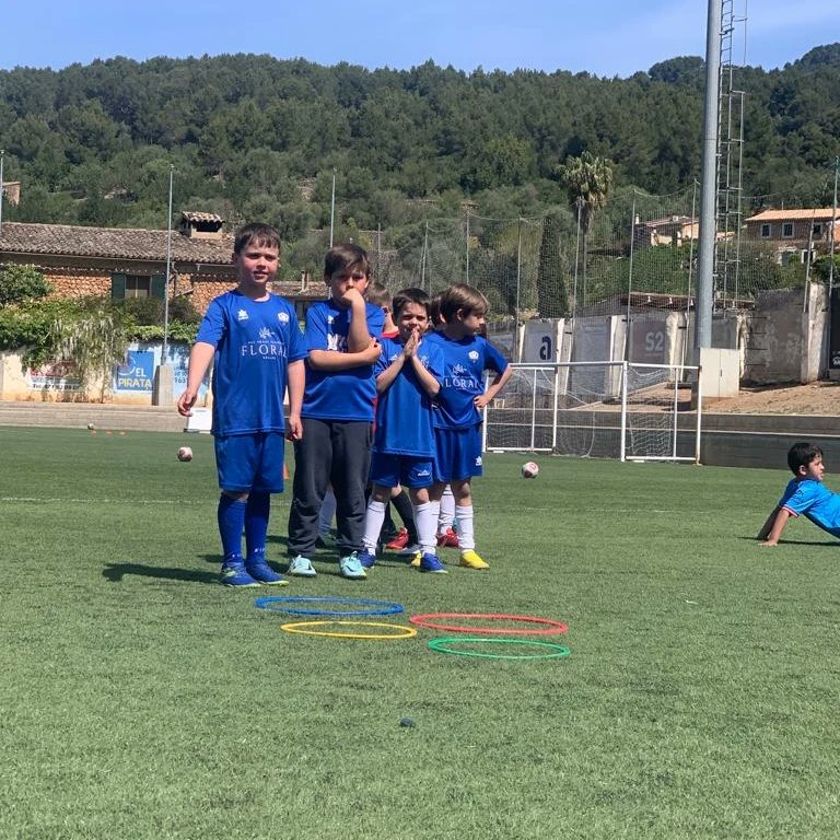 CF Sóller tweet media