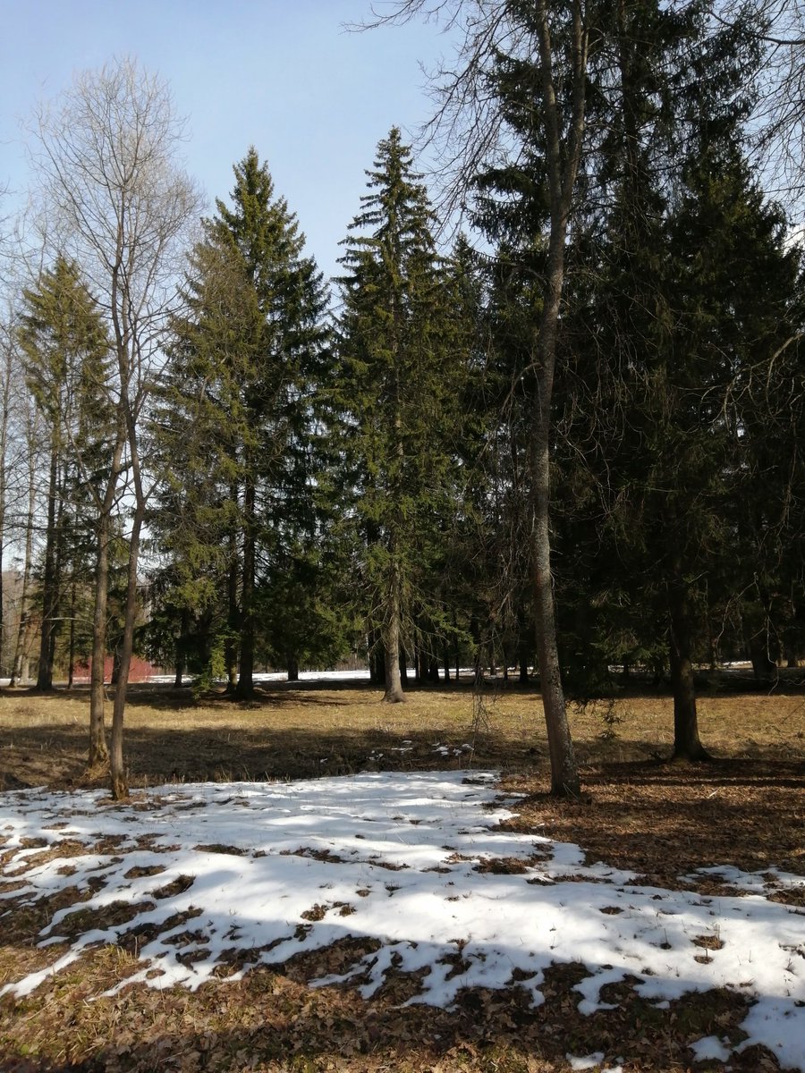 VictoriaArt09's tweet image. Last Snow
youtube.com/@victoriaart99
Instagram.com/photosnature_v… and t.me/cutecatsanddog

#SpringIsComing #springlook #springtime #spring #nature #NaturePhotography #beautiful #landscape #garden #photography #picoftheday #pictures #artwork #artist #art #nftart #dream #lifestyle #day