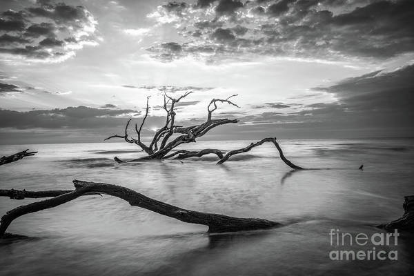 Driftwood Beach BW bit.ly/41mbrVF #GeorgiaCoast #Georgia #AlanticOcean #blackandwhite #boneyard #longexposure #seascapes #homedecor #wallart #sunrise #buyart #AYearforArt #art #photography #fineart #interiors