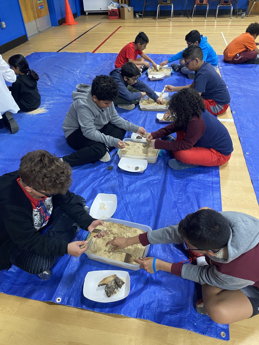 M. Hoffman tweet media