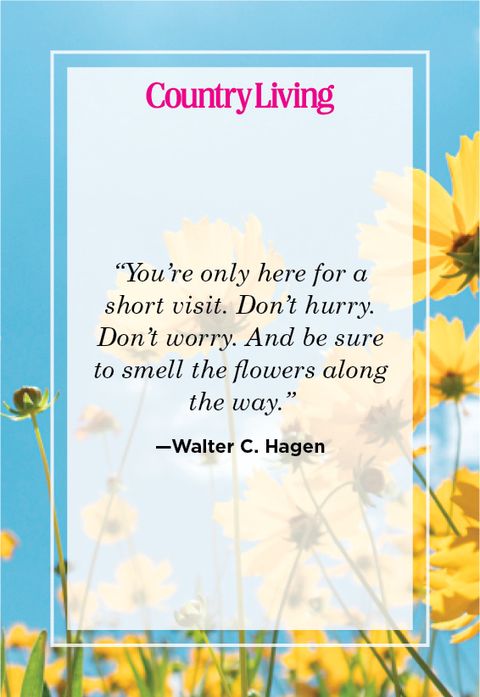 AmoroseHomes's tweet image. "You're only here for a short visit. Don't hurry. Don't worry. And be sure to smell the flowers along the way." Walter C. Hagen #SpringQuotes