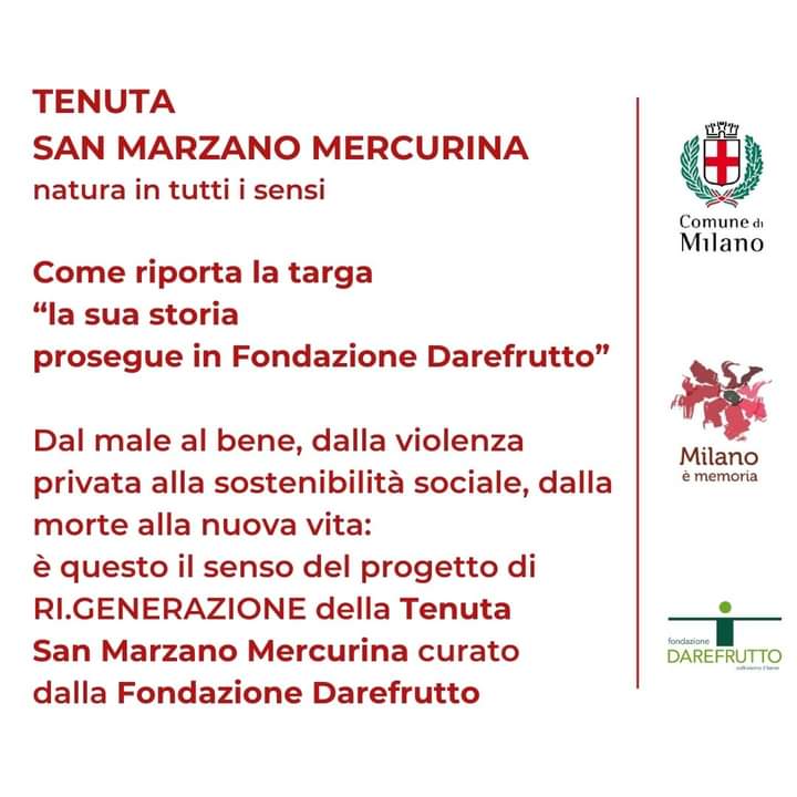 Piero Masolo tweet media