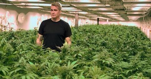 JOEYLOVESMARY's tweet image. Henry Rollins #CannabisCommunity #LegalizeIt #punklegends