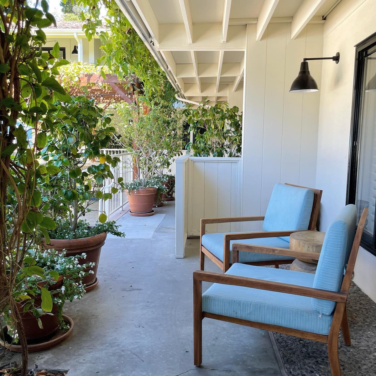 thehotelcarmel's tweet image. Designed with relaxation in mind. 

📷 @machteldraadsen
#hoteldesign #hoteldesigner #curatedesign #designlove #exteriordesigninspiration #architecturelove