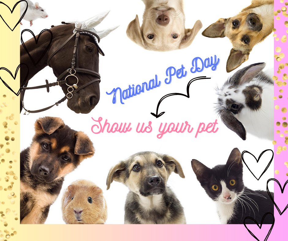 Longview PIP tweet media