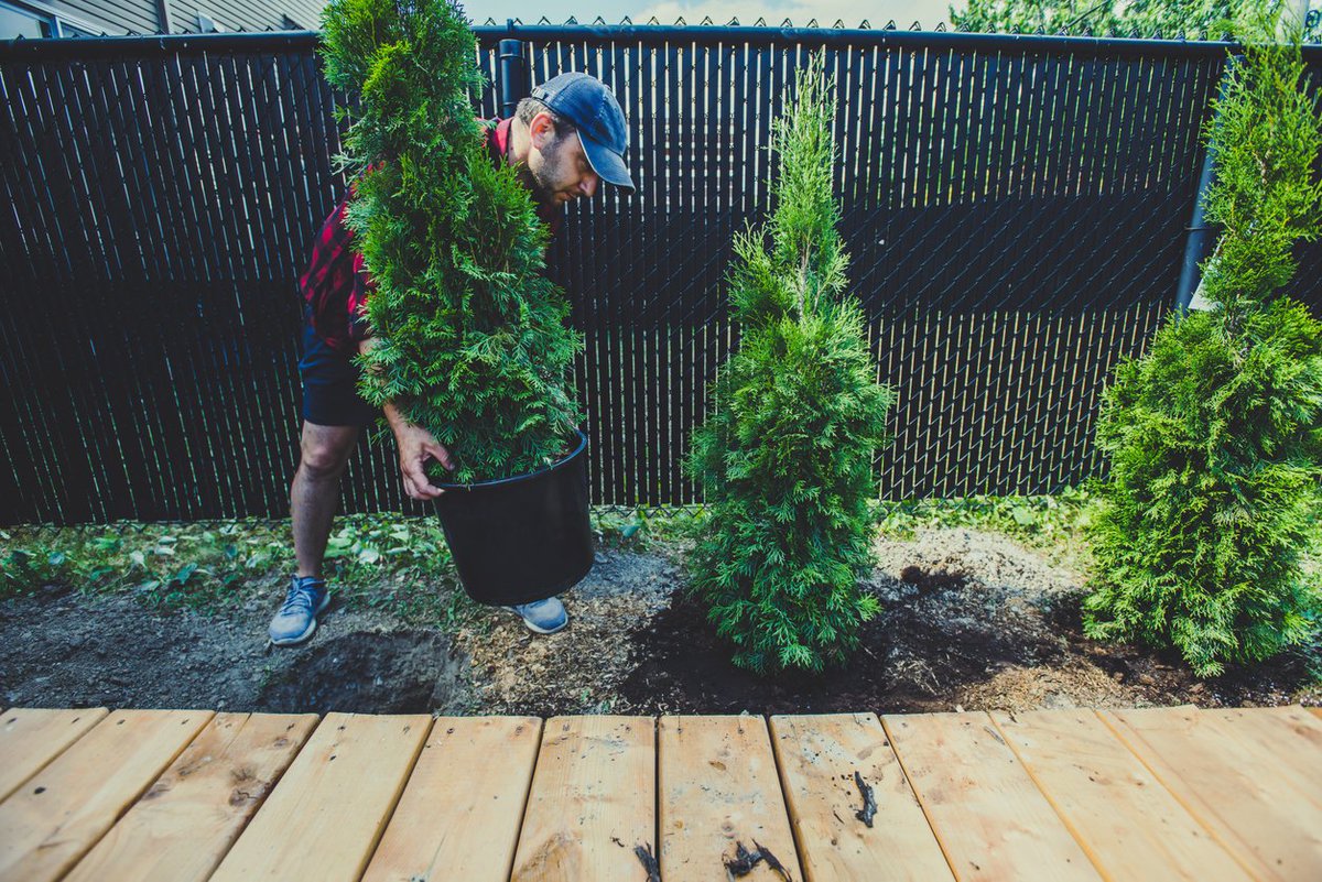 Hey #Guelph – we’re looking to match 1,000 trees with private yards through Take Root, a native tree giveaway program in partnership with @Forests_Ontario and @TreesforGuelph. Register for your free tree by May 11 and learn more at treestakeroot.ca/guelph