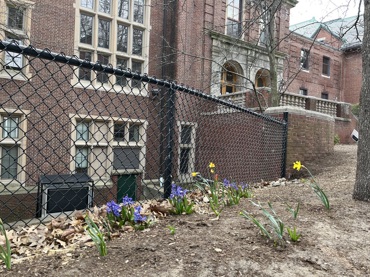 DriscollPTO's tweet photo. First signs of spring outside Driscoll! https://t.co/sGs7hDpQMS