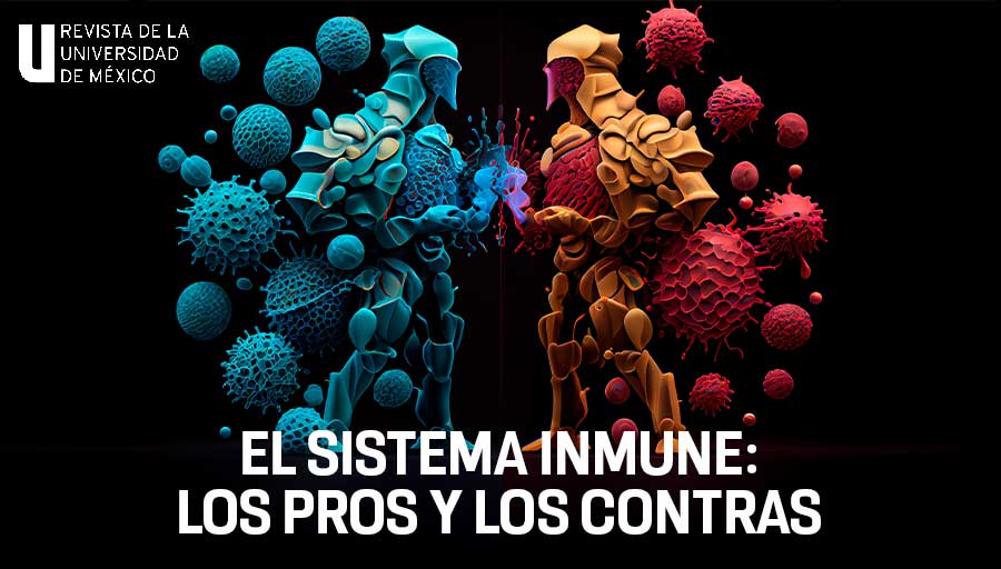 UNAM_MX's tweet photo. El sistema inmune contribuye a mantener el equilibrio y buen funcionamiento en nuestro organismo. Sin embargo, en algunas ocasiones, este sofisticado sistema de vigilancia trabaja más para… ¿el enemigo? Lee más sobre él en @revista_unam > https://t.co/KdcxqQ5kA1 https://t.co/5BPQyo6uuo