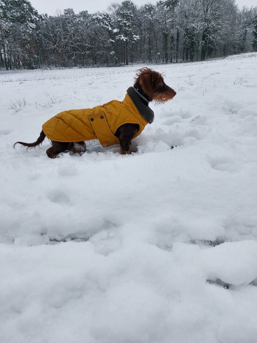 Harm Haan tweet media