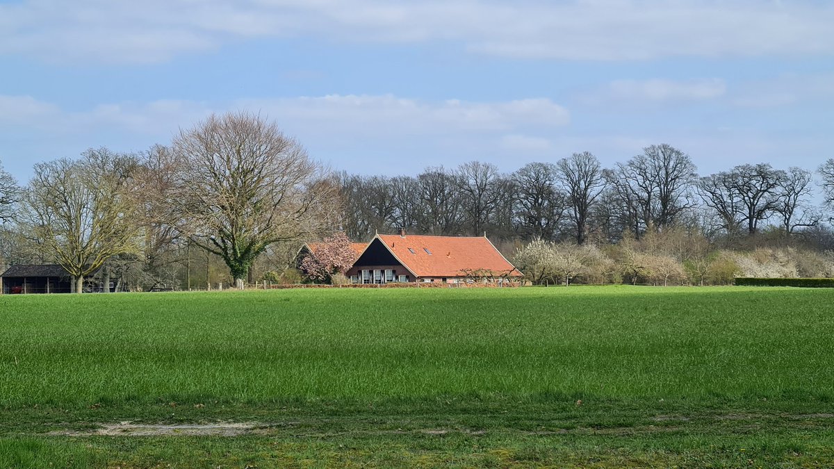 maxschurink's tweet photo. Dit weekend een prachtige wandeling gelopen uit het nieuwe wandelboek 'Wandelen de Regge': nr. 2 Tussen Diepenheim en Goor. @uitgeverijGO https://t.co/NhPyjp0cHx