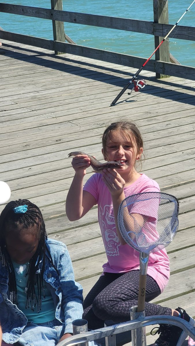 Weatherstone4th's tweet photo. Fish exploration! https://t.co/c4MZStzdaT