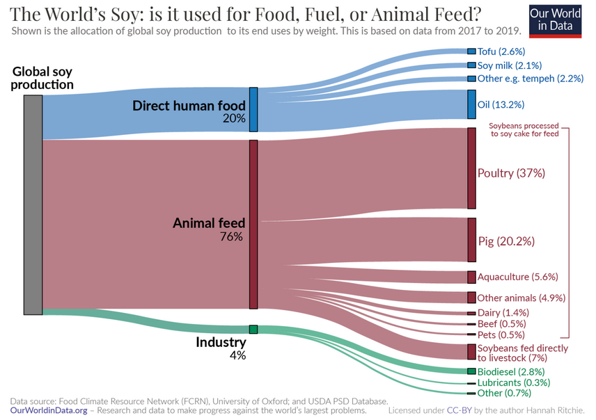CheClimaFa's tweet image. Si coltiva più #soia per fare #biodiesel che per farne latte vegetale
