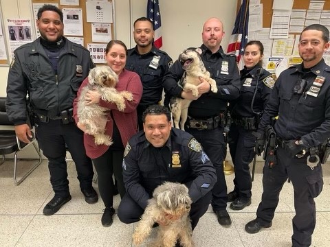 A paw-sitive pet rescue this #NationalPetDay!

In partnership with <a href="/BronxDAClark/">Bronx DA Darcel D. Clark</a> <a href="/NYPD50Pct/">NYPD 50th Precinct</a>, officers rescued 3 abused dogs yesterday in the Bronx. The person responsible for this heinous act was arrested &amp; our four-legged animals were taken to an animal haven for evaluation.