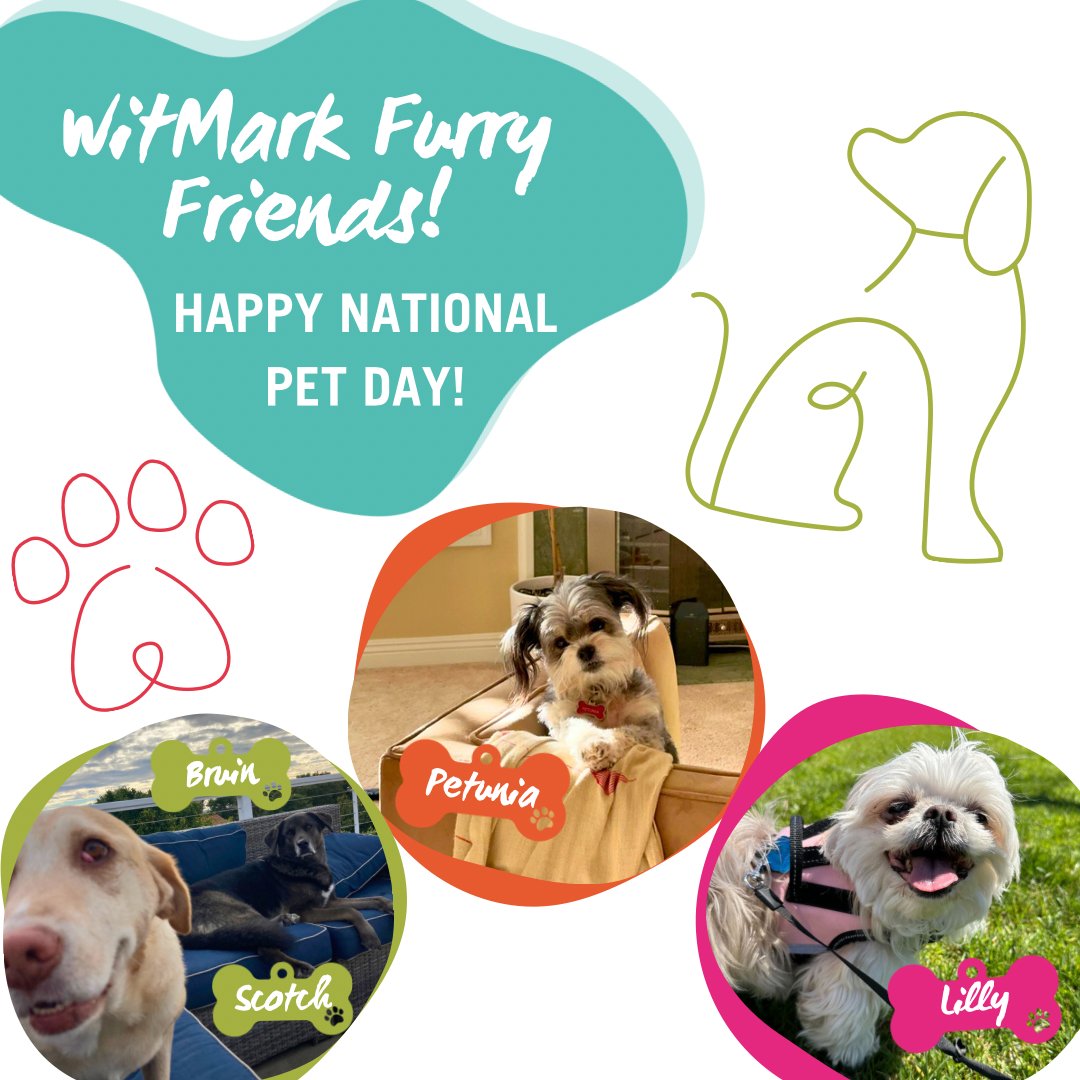 witmarkgroup's tweet photo. #HappyNationalPetDay from our four legged pals to yours! 🐶🐾

 #WitBARK #OfficeDogs https://t.co/3FkiiENFrj