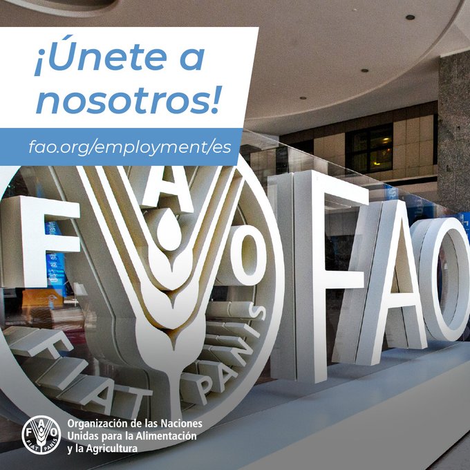 FAOEcuador's tweet photo. 📢 #OportunidadLaboral 

Especialista en análisis de datos y uso de lenguajes de programación
📲 https://t.co/QdvN0FW8Nn
⏰ 12/04

Especialista Técnico en información climática
📲 https://t.co/MLT0N0vDp8
⏰ 13/04

Especialista Social y Género 
📲 https://t.co/LimwKCDKdK
⏰ 19/04 https://t.co/YliSRQJ0qc