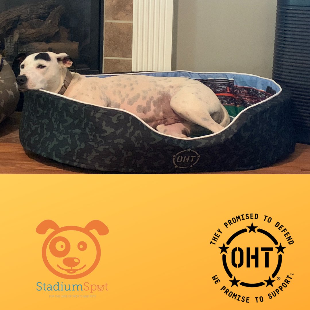 SupportOHT's tweet photo. Happy National Pet Day! We love all pets but we love all of the OHT Dogs that we have that are part of the family, friends and fans! We are grateful for the service animals that are pets too!
#Dogs #DogsofIG #NationalPetDay
#SupportOHT #OperationHatTrick #Neverforget https://t.co/FK7Ug7Ls7a