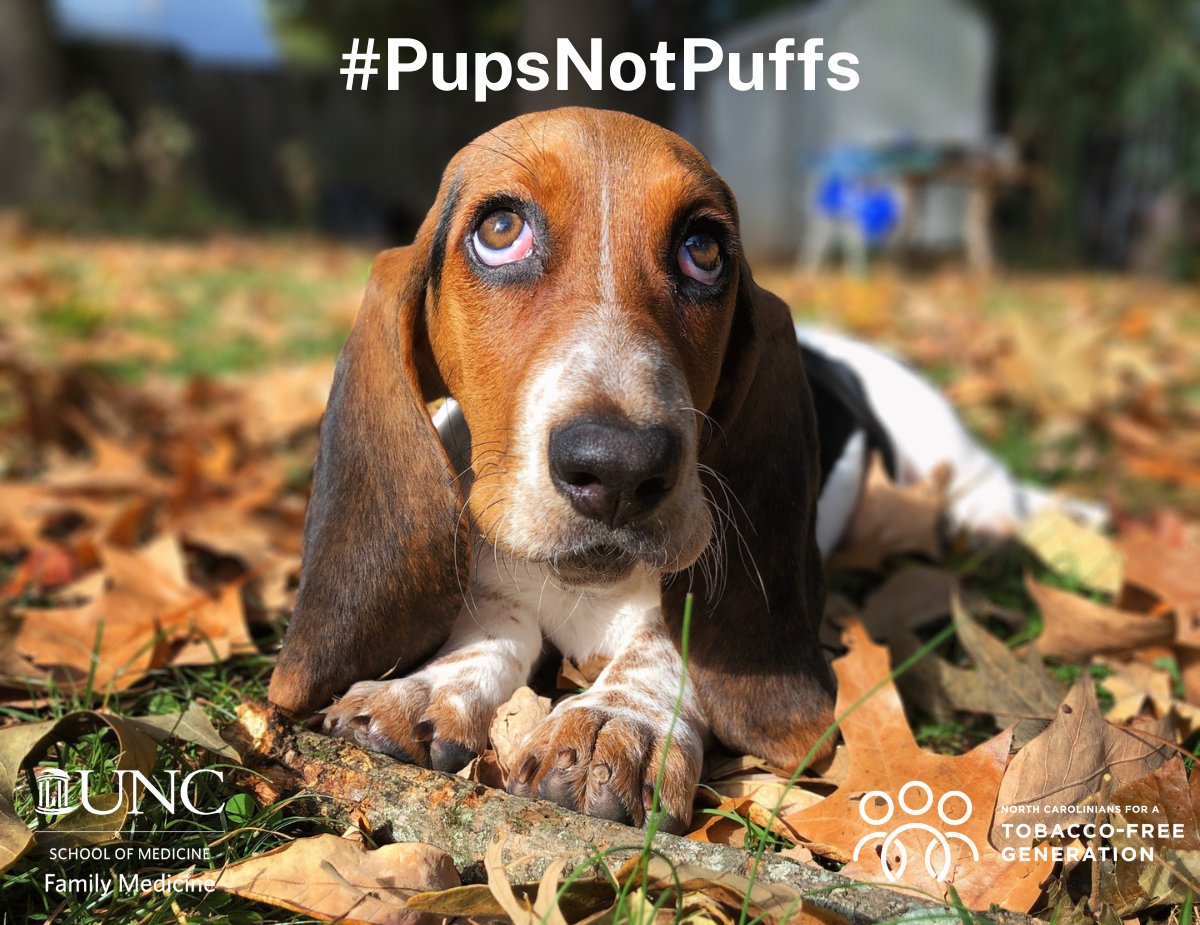 uncfammed's tweet photo. It's #NationalPetDay2023! Research shows that having a pet is a healthy way to deal with stress, manage boredom, and even get exercise! We applaud this type of self-care π. #TabbiesNotTobacco #PupsNotPuffs
Learn about the UNC Tobacco Treatment Program at: https://t.co/TeXii5zE1W https://t.co/jzuR5ZeQeK