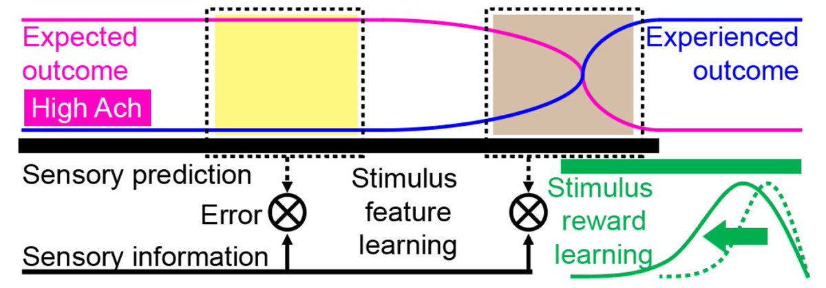 Chen-Lab @ BU tweet media