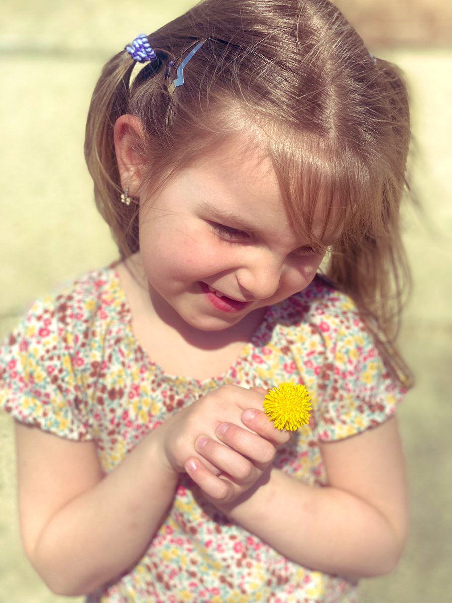 MrsDoyleSD54's tweet photo. First of the season 💛🌼 #gifts #dandelionsarethebestflowers #kindergartenteacher #sd54 #muirmoments #walkproud  #lovemystudents ❤️ https://t.co/Ggs01wb3R9