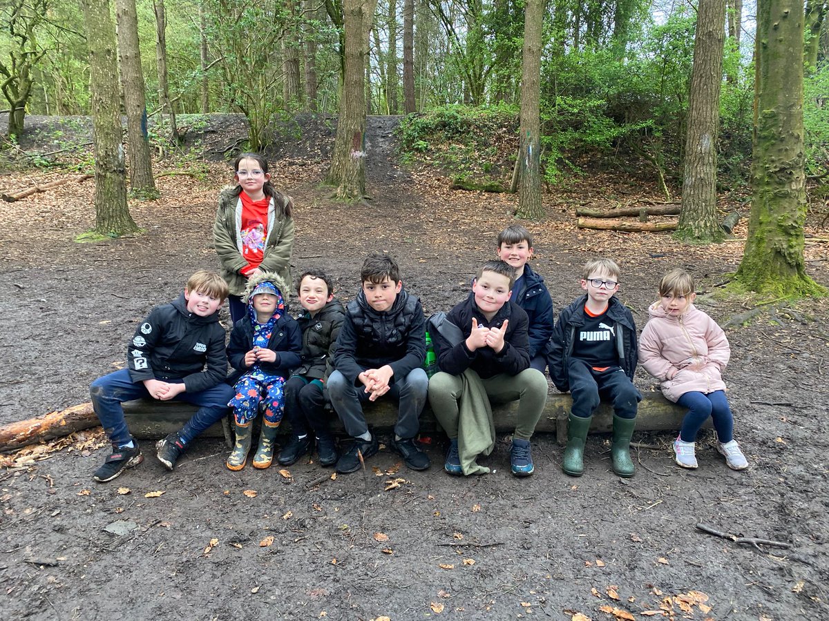 hiddenforestadventures tweet media