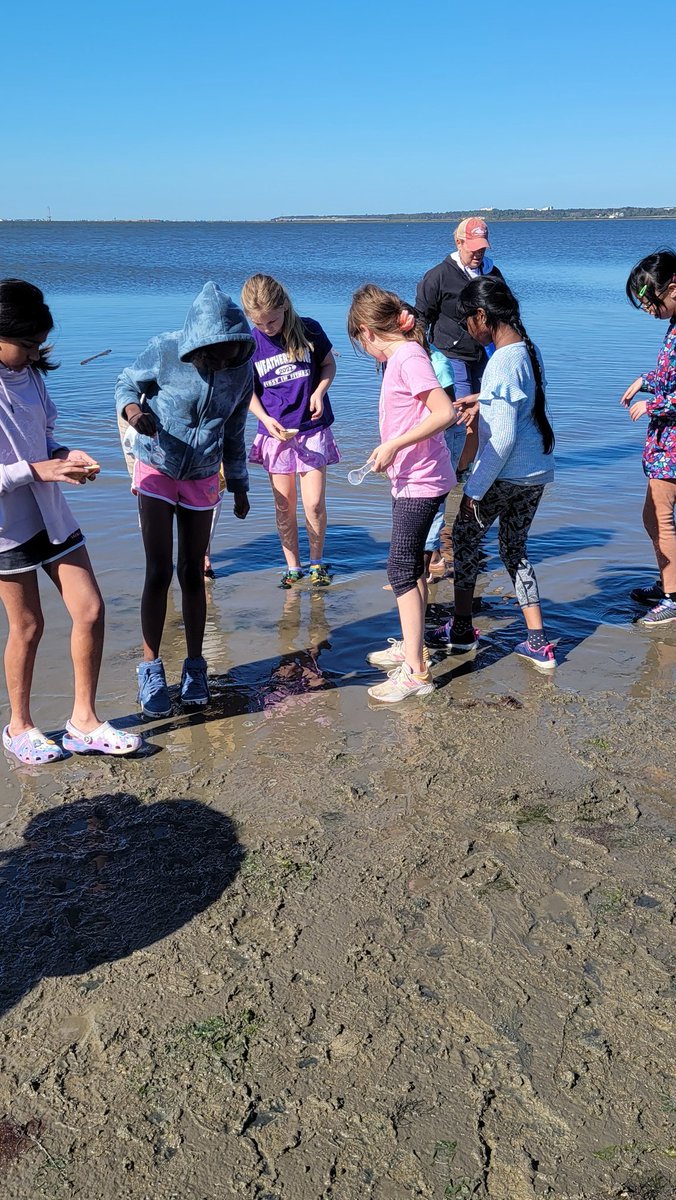 Weatherstone4th's tweet photo. Collecting soil, water, and periwinkle snails to create ecosystems in a shell! https://t.co/blYXujpwkR
