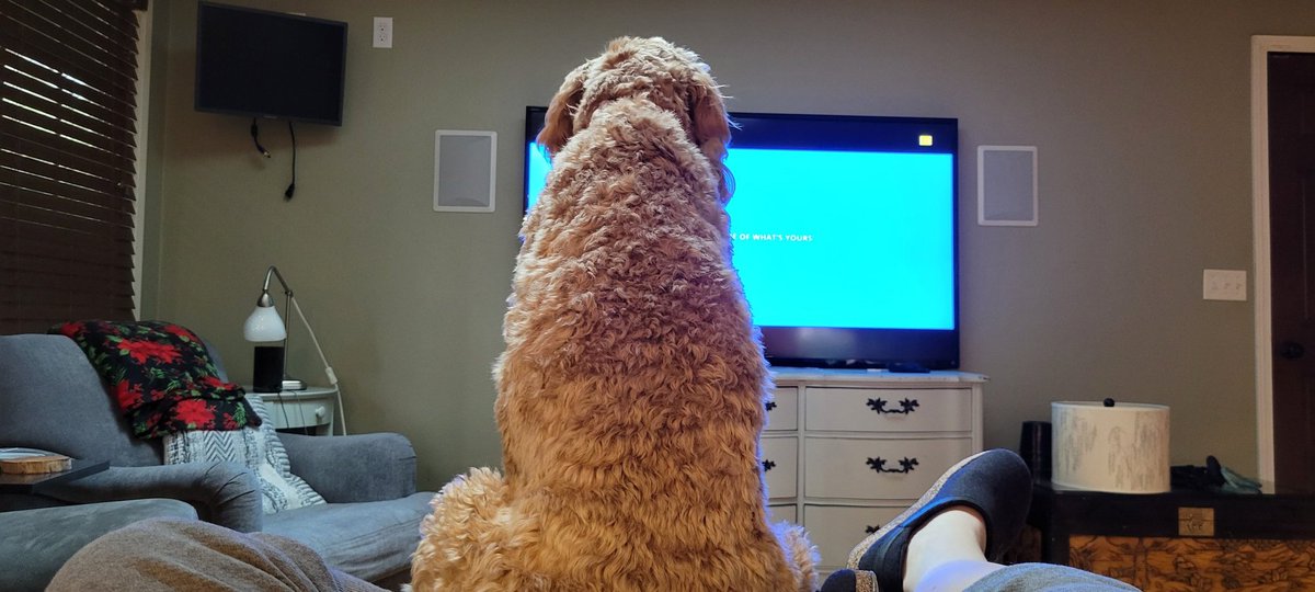 Randyraj's tweet photo. @LaceyPolice When I try to watch tv on my recliner. https://t.co/0ynFFyce9P