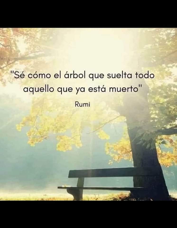 Miguel85king's tweet photo. @AlonsoUlises84 https://t.co/XJlQhbjqQs