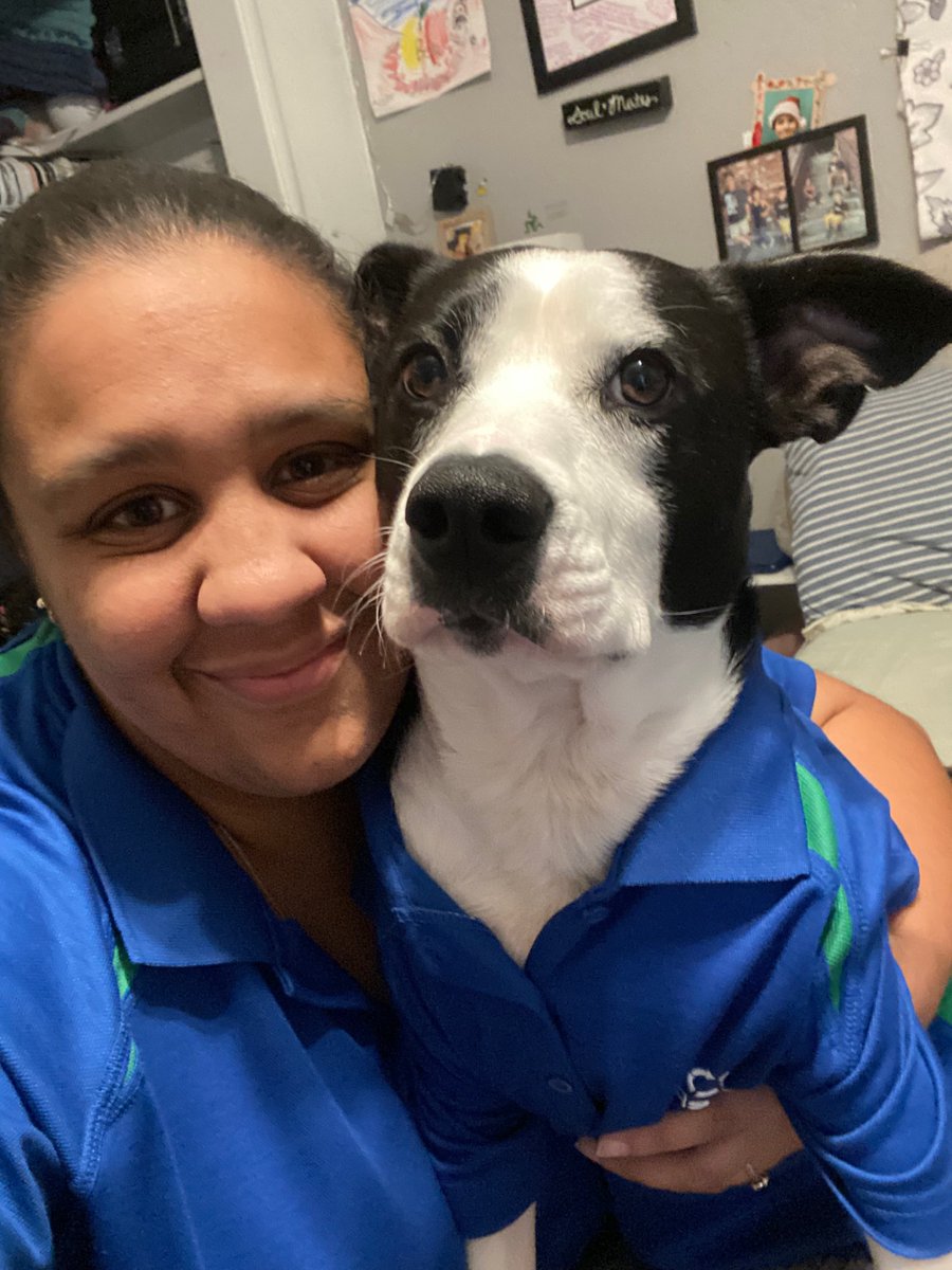 MedSpeed's tweet photo. It’s National Pet Day! Our team in Santa Rosa shared some amazing photos of their pets in #MedSpeed gear. Share your pets in the comments! https://t.co/YeUeGApQlz