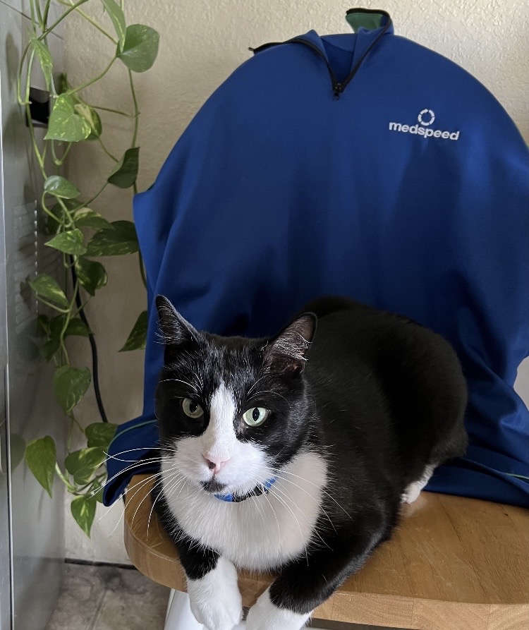 MedSpeed's tweet photo. It’s National Pet Day! Our team in Santa Rosa shared some amazing photos of their pets in #MedSpeed gear. Share your pets in the comments! https://t.co/YeUeGApQlz