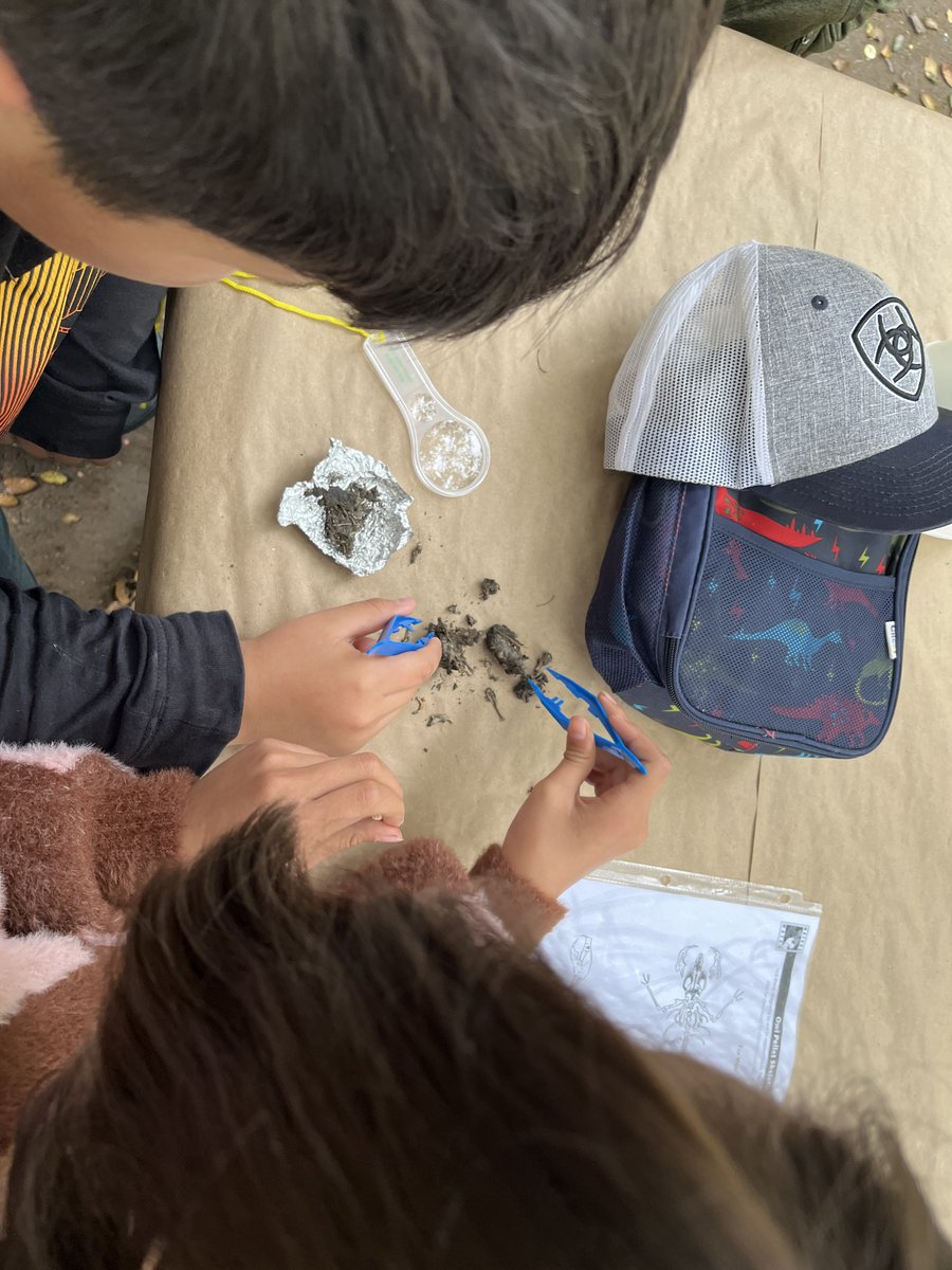 FUESD Environmental Education Program tweet media