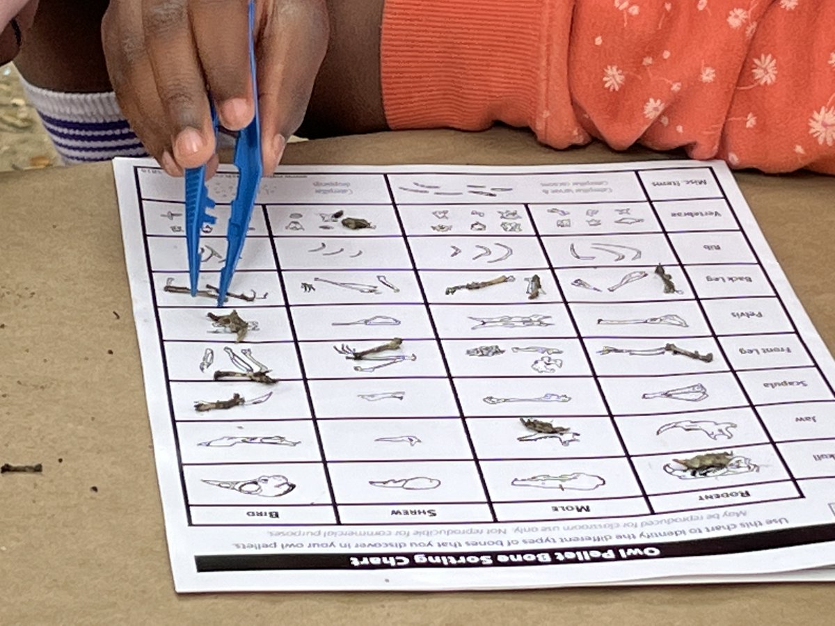 FUESD Environmental Education Program tweet media