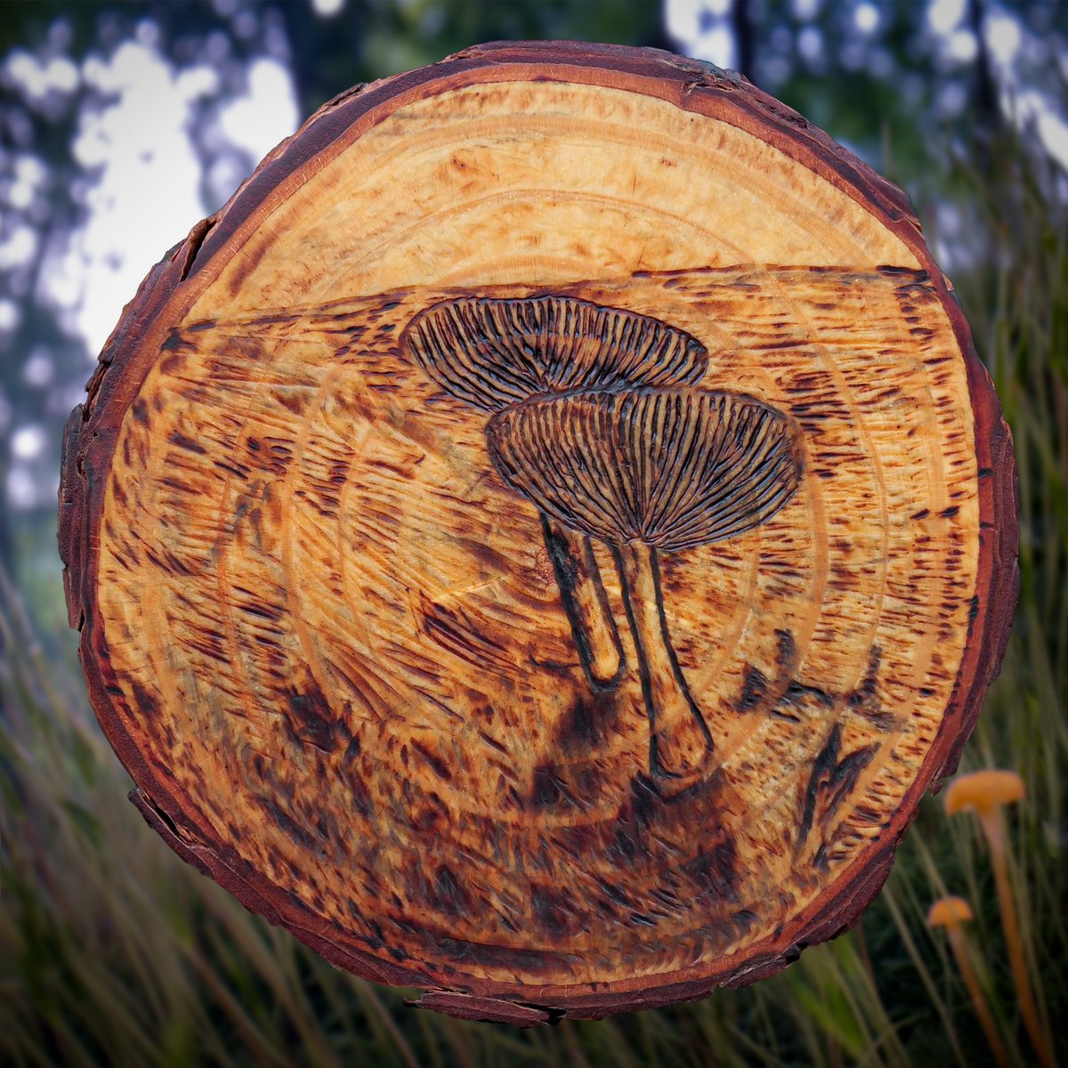 mycelialweb's tweet photo. Hello #PortfolioDay I burn Fungi inspired by real mushrooms! 🍄 https://t.co/quc1M7h2zx