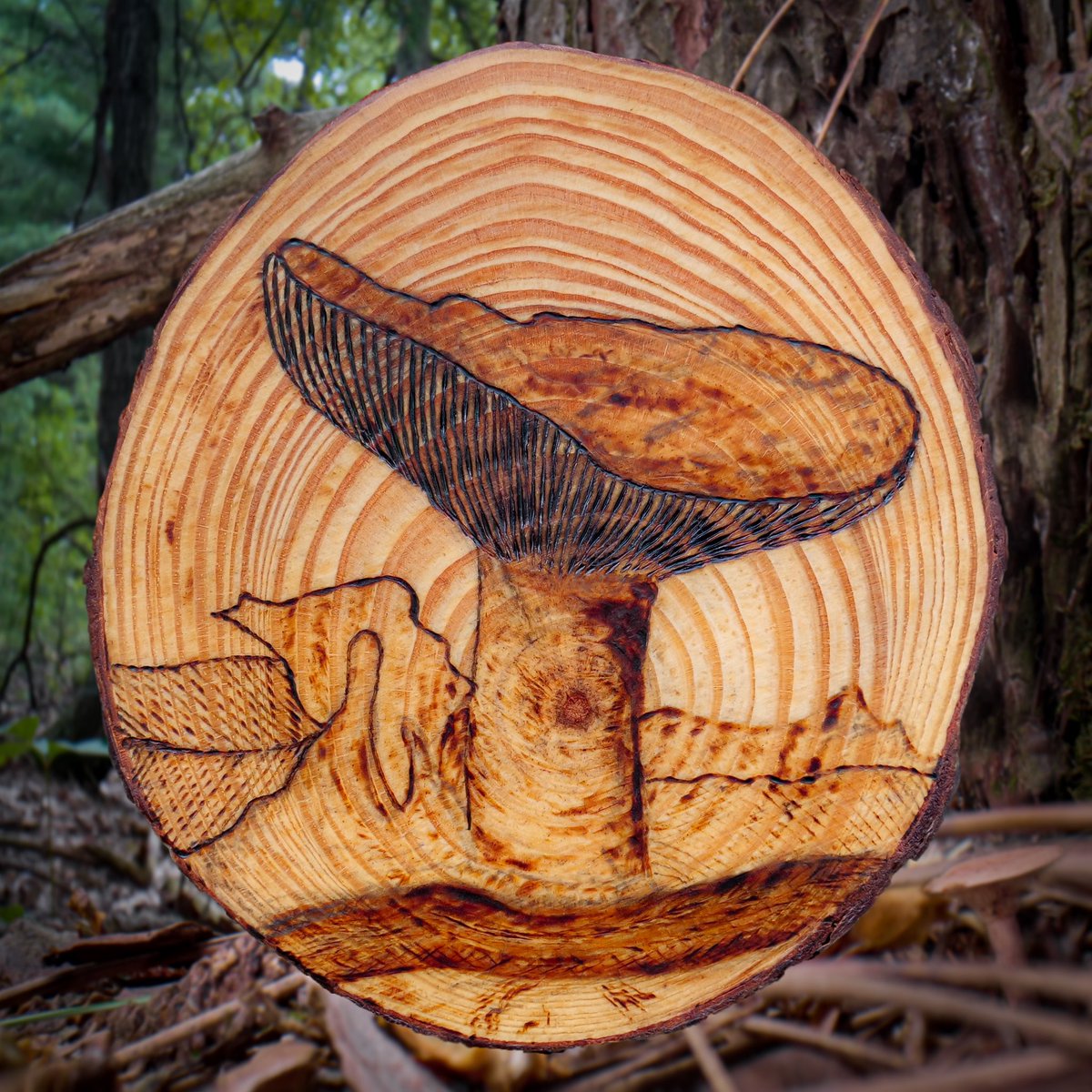 mycelialweb's tweet photo. Hello #PortfolioDay I burn Fungi inspired by real mushrooms! 🍄 https://t.co/quc1M7h2zx