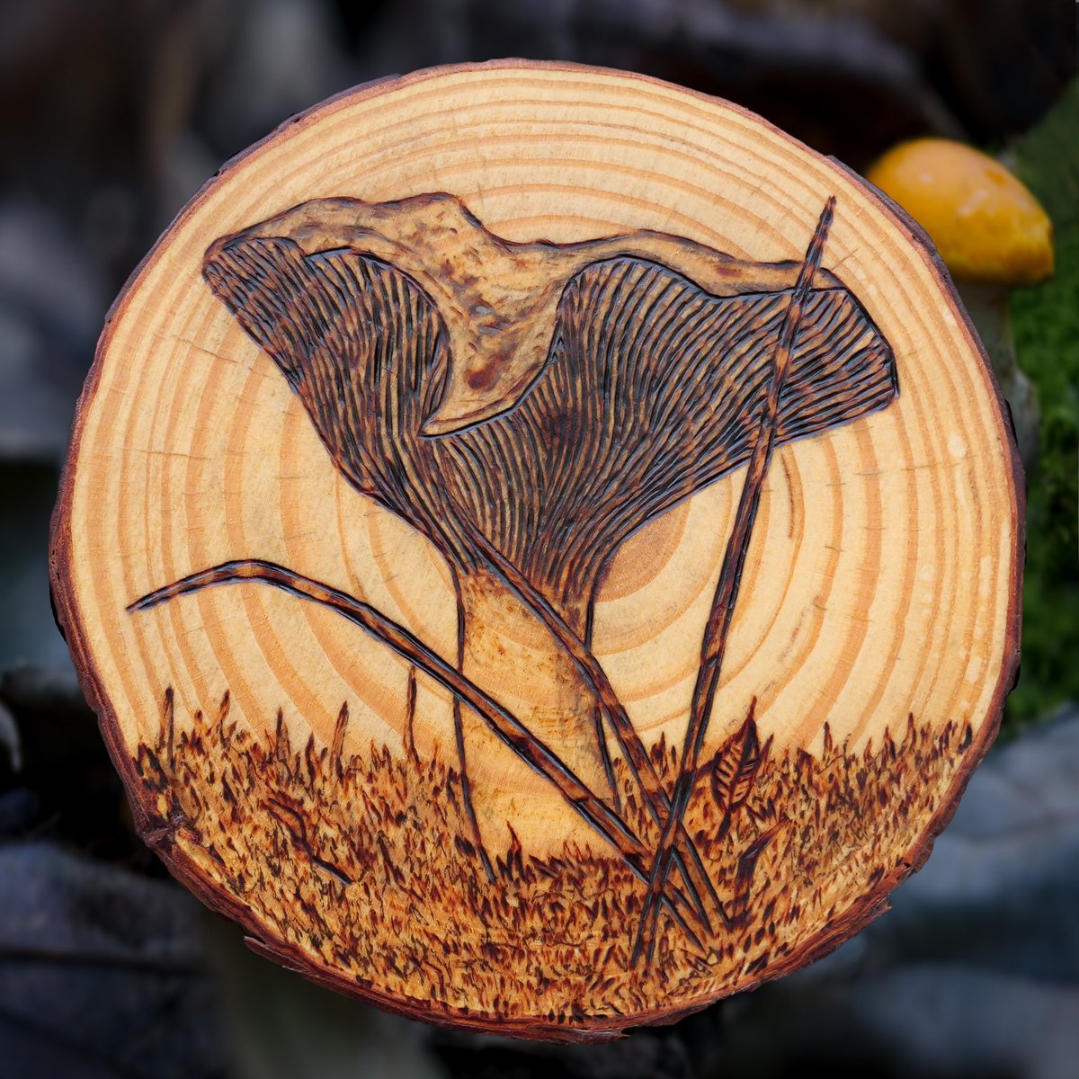 mycelialweb's tweet photo. Hello #PortfolioDay I burn Fungi inspired by real mushrooms! 🍄 https://t.co/quc1M7h2zx