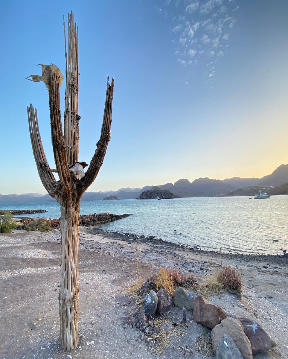 adolfreyes's tweet photo. @sunsetspost Desert/sea https://t.co/Pc36QxyysX