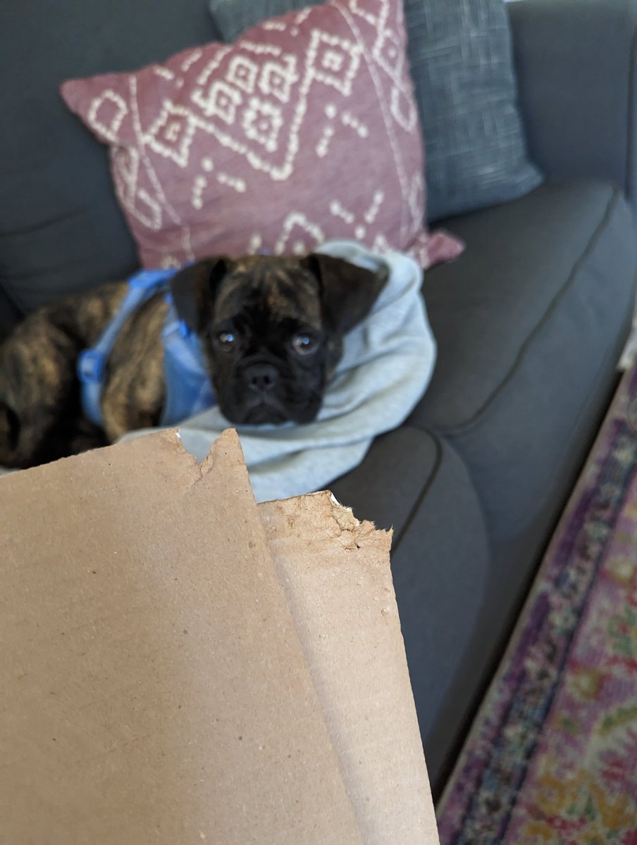 Don't ask me why your record showed up in a chewed up mailer.