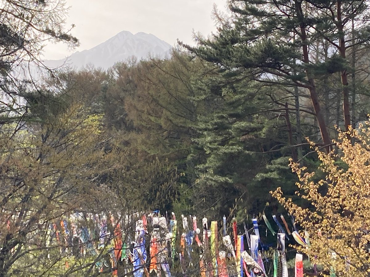 usapi0125's tweet photo. 安曇野にあるアルプス公園に行ってきました。チューリップ🌷が沢山咲いていて遠くに見える常念岳のコラボが素敵でした。北アルプスの山々が見えるアルプス公園はとても素敵でした。 https://t.co/RmFyN8guES