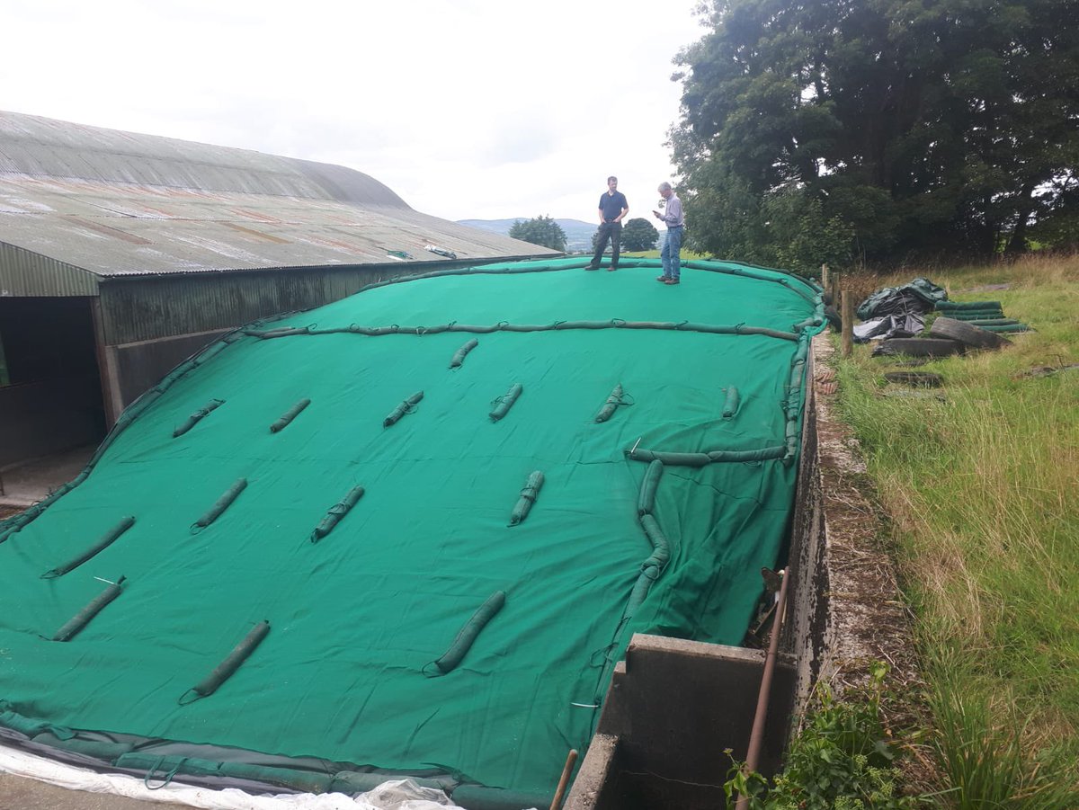 Maizetech Ltd tweet media