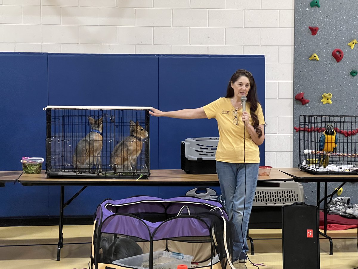 Oak View Elementary School tweet media