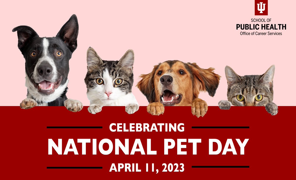 Today is #NationalPetDay 🎉

Post a picture of your pet and tag us to be featured on our feed!🐶🐱

#SPHCareerServices #NationalPetDay