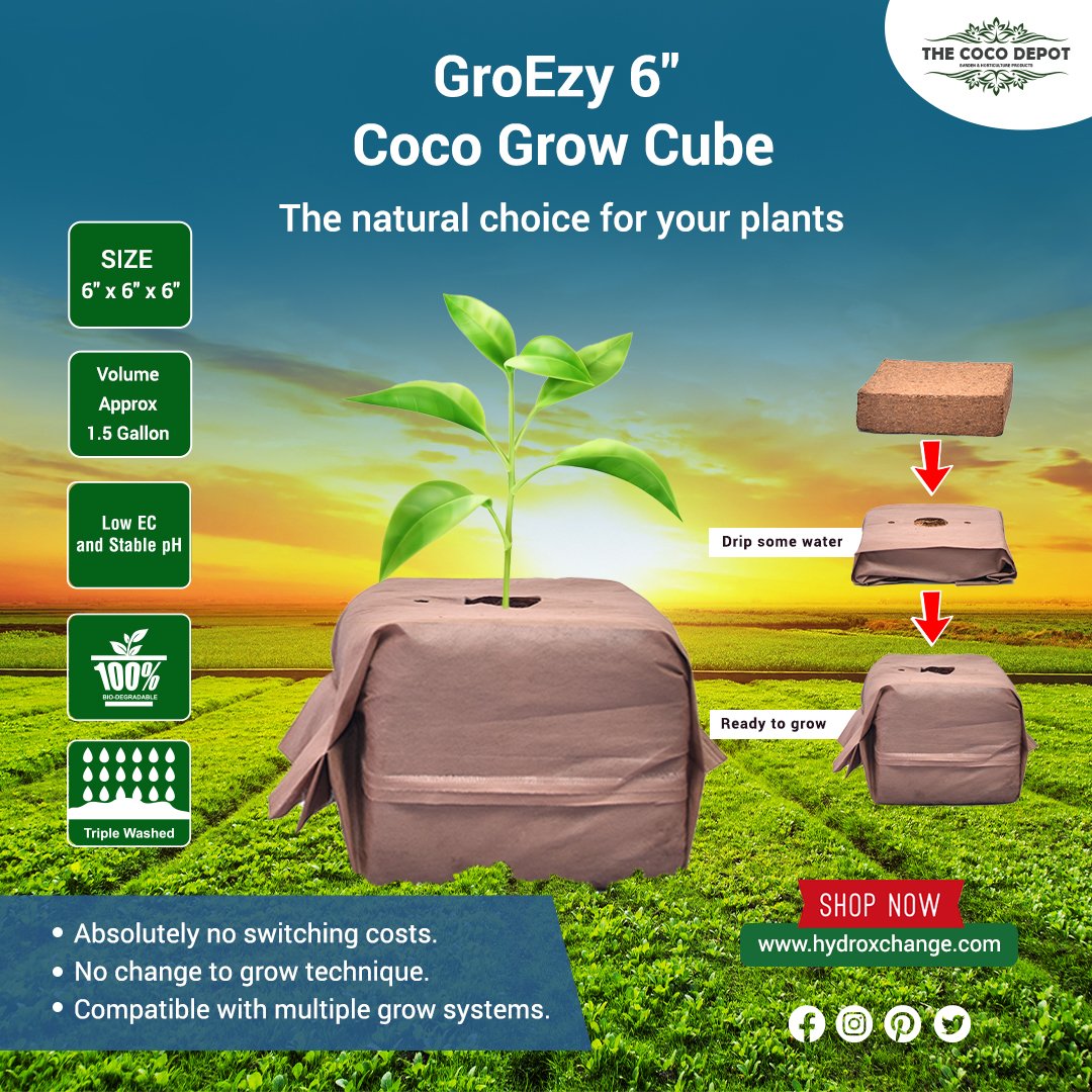 HydroxchangeCom's tweet photo. A fantastic choice for growers wishing to transition to coco and find rockwool. After moistened, the compacted coco block turns into a usable cube.

To know more 👉 https://t.co/sToqENMs0Z

#coco #organic #cultivation #purecoco #organic #cococubes #blocks #cocoblocks #coir #usa https://t.co/qX4RedLNT0