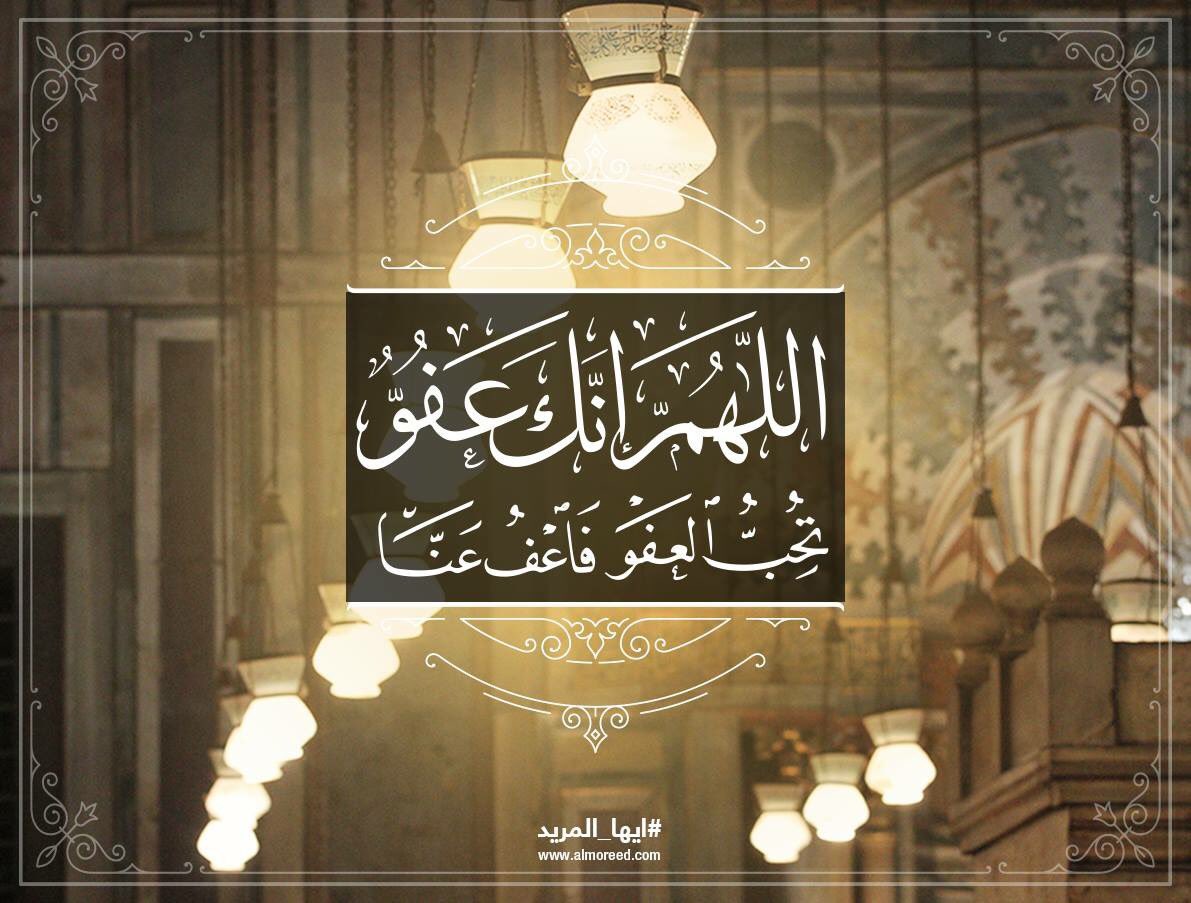 طارق بن خلف الهذيل tweet media