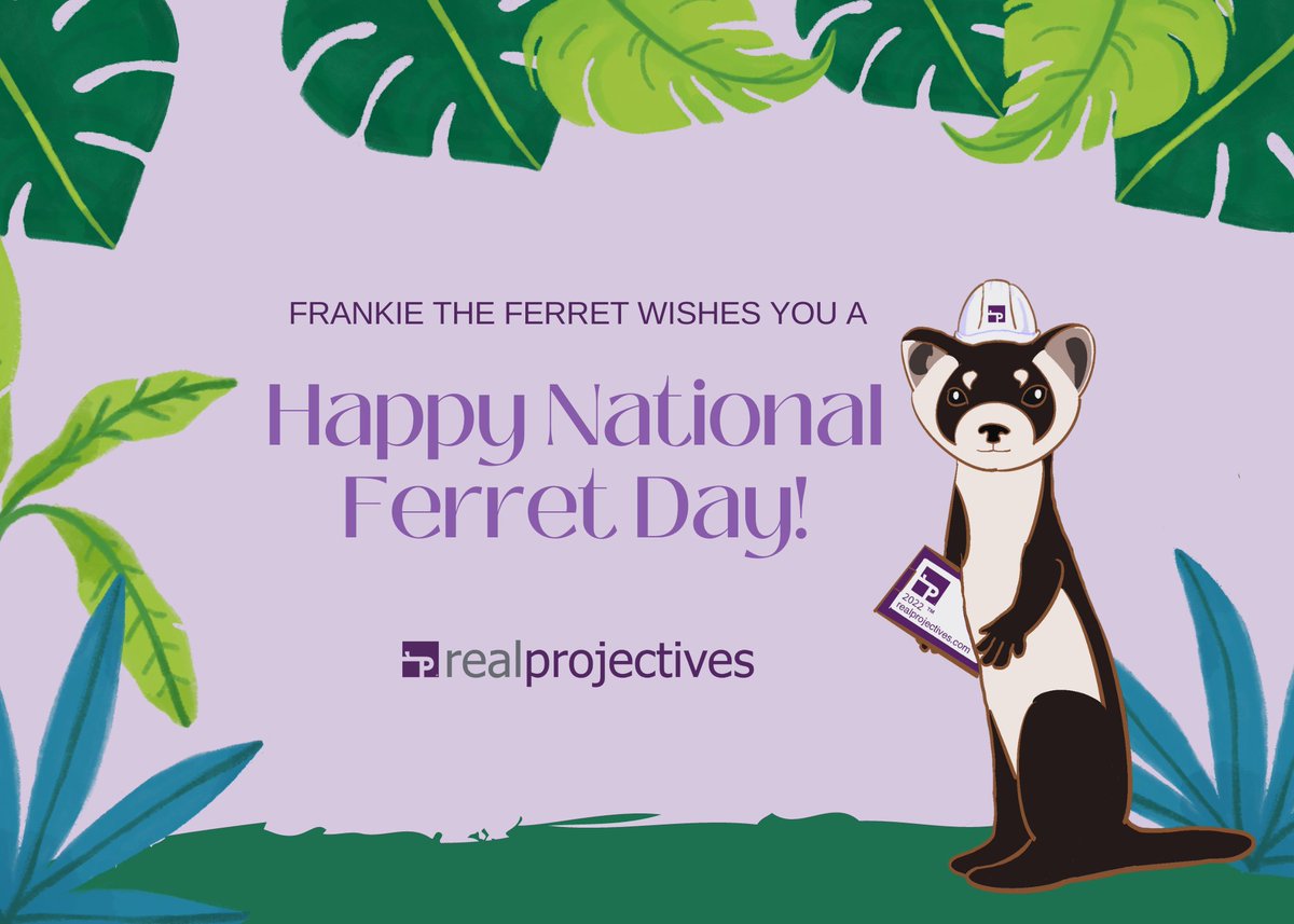 RealProjectives's tweet photo. Earlier this month was National Ferret Day, a holiday we proudly celebrate at Real Projectives! Check out our latest blog post to learn more about the origins of our unique company holiday!
https://t.co/iIIwED7Tfh

#ferretday #companyhistory #companyholiday https://t.co/WAayQPmuOx