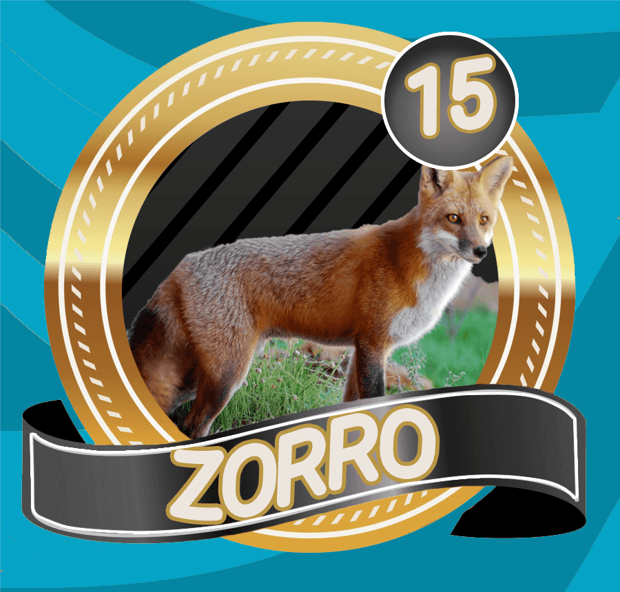 LottoVerde's tweet photo. LOTTO VERDE
SORTEO
11/04/2023
04:30 PM
15 ZORRO
@LottoVerde https://t.co/4MoeBKavHp