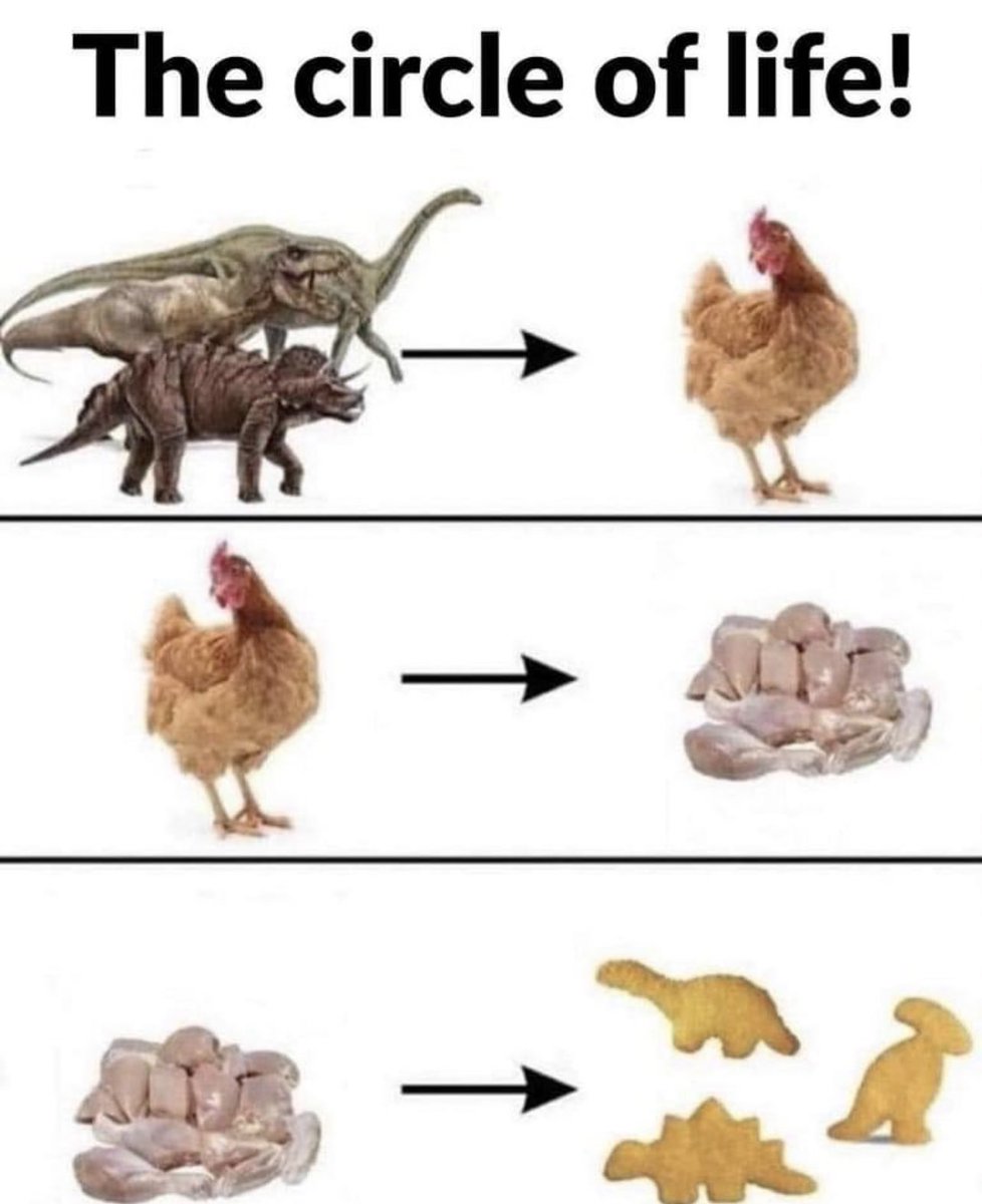 NoContextHumans's tweet image. 