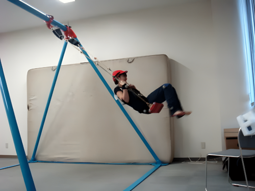 APSphysics's tweet photo. Initial phase and frequency modulations of pumping a playground swing. Authors: Chiaki Hirata, Shun'ichi Kitahara, Yuji Yamamoto, Kazutoshi Gohara, and Michael J. Richardson. Discover more in #PRE: https://t.co/kDIG6fy9lK. #NonlinearDynamics #CoupledOscillators #FunPhysics https://t.co/TyY14PA6qa