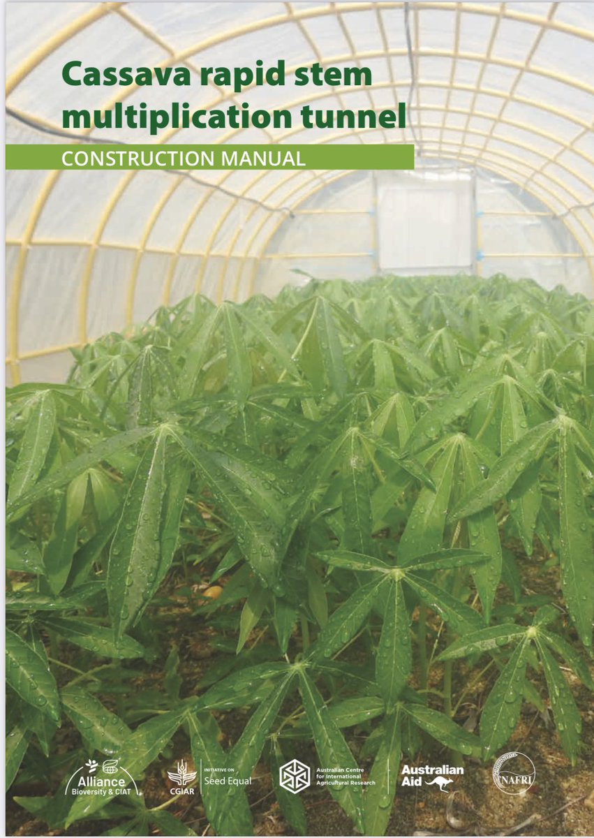 CassavaDiseaseSolutionsAsia tweet media