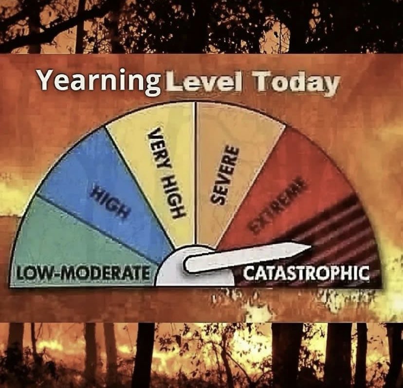 ✧ (@northstardoll) on Twitter photo 